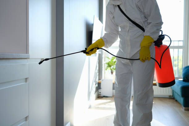 Best Residential Mold Removal  in Tigerville, SC