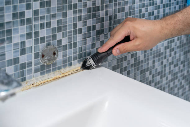 Best Same-Day Mold Removal  in Tigerville, SC